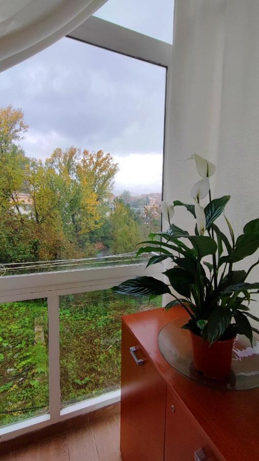 Bed and Breakfast Il Roseto Frosinone Exteriér fotografie